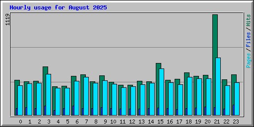 Hourly usage for August 2025